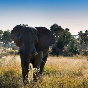 Meet your Posher, Adam